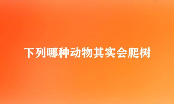 下列哪种动物其实会爬树