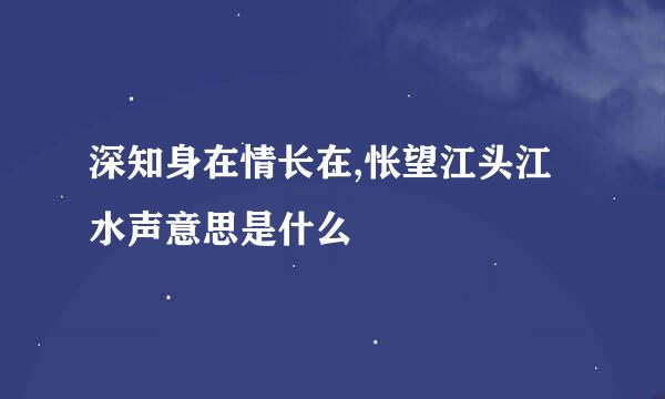 深知身在情长在,怅望江头江水声意思是什么