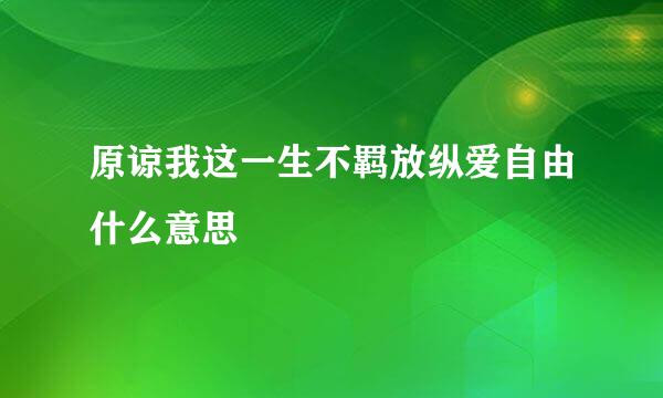 原谅我这一生不羁放纵爱自由什么意思