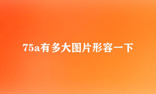75a有多大图片形容一下