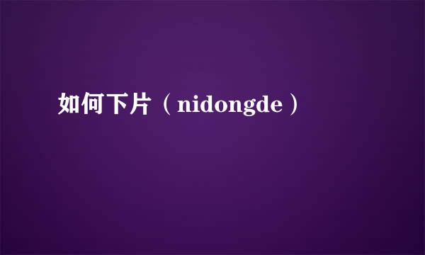 如何下片（nidongde）