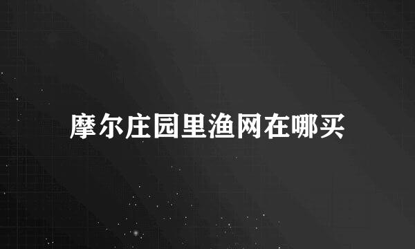 摩尔庄园里渔网在哪买