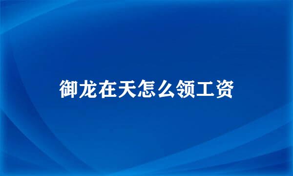御龙在天怎么领工资