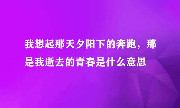 我想起那天夕阳下的奔跑，那是我逝去的青春是什么意思