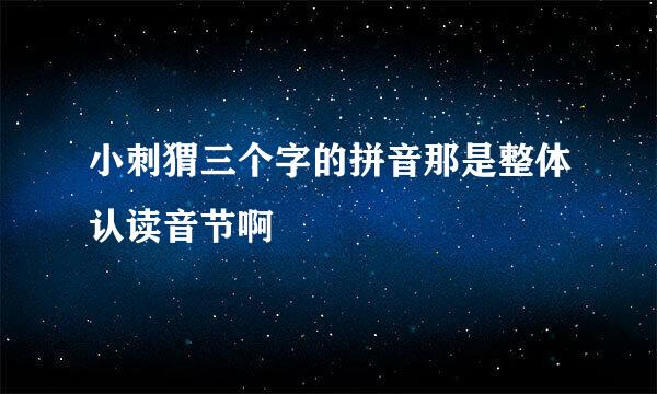 小刺猬三个字的拼音那是整体认读音节啊
