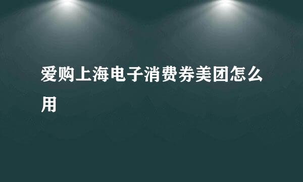 爱购上海电子消费券美团怎么用