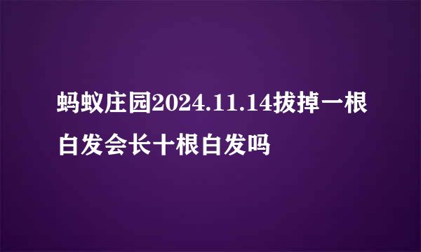 蚂蚁庄园2024.11.14拔掉一根白发会长十根白发吗