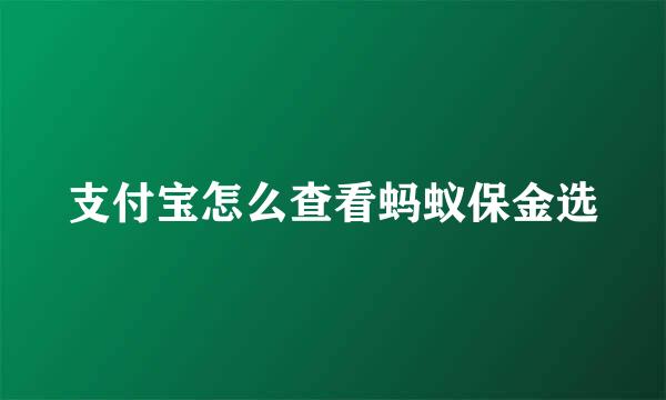 支付宝怎么查看蚂蚁保金选