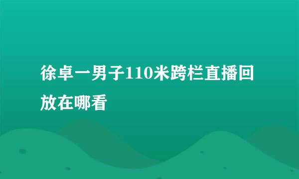 徐卓一男子110米跨栏直播回放在哪看