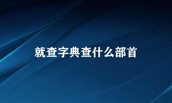 就查字典查什么部首
