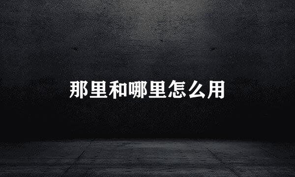 那里和哪里怎么用