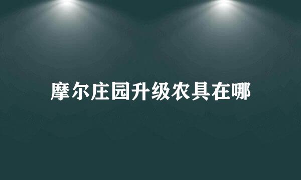 摩尔庄园升级农具在哪