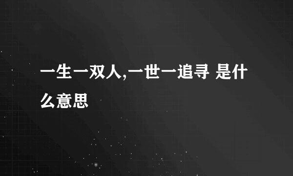 一生一双人,一世一追寻 是什么意思