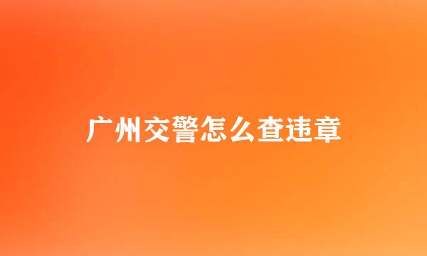 广州交警怎么查违章
