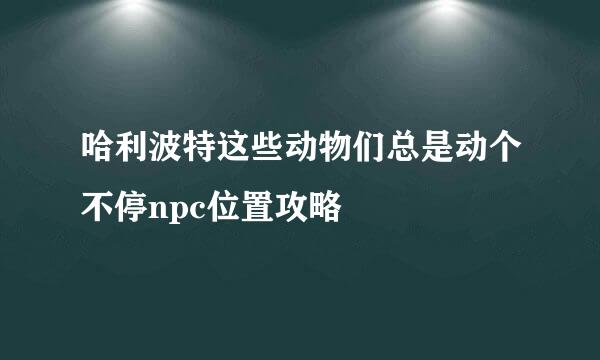 哈利波特这些动物们总是动个不停npc位置攻略