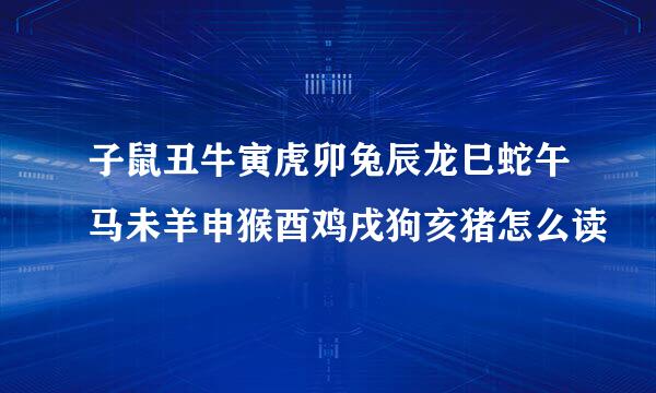 子鼠丑牛寅虎卯兔辰龙巳蛇午马未羊申猴酉鸡戌狗亥猪怎么读