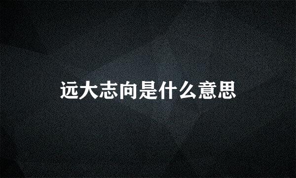 远大志向是什么意思