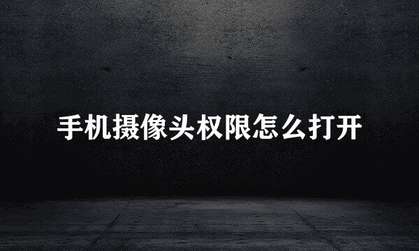 手机摄像头权限怎么打开