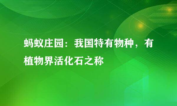 蚂蚁庄园:我国特有物种,有植物界活化石之称