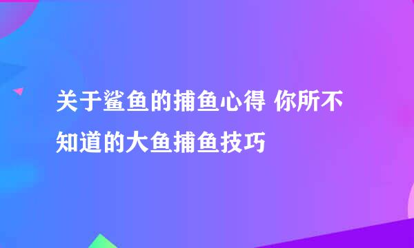 关于鲨鱼的捕鱼心得 你所不知道的大鱼捕鱼技巧