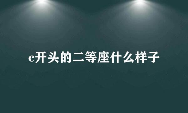 c开头的二等座什么样子