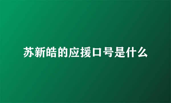 苏新皓的应援口号是什么