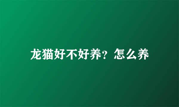 龙猫好不好养？怎么养