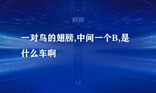 一对鸟的翅膀,中间一个B,是什么车啊