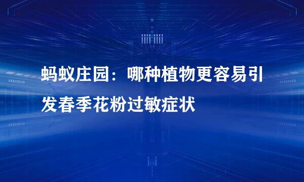 蚂蚁庄园：哪种植物更容易引发春季花粉过敏症状