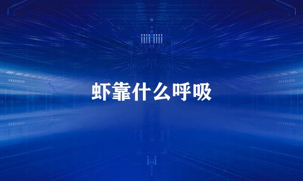 虾靠什么呼吸