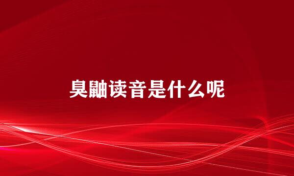 臭鼬读音是什么呢