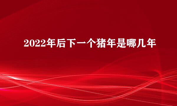 2022年后下一个猪年是哪几年