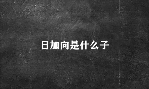 日加向是什么子
