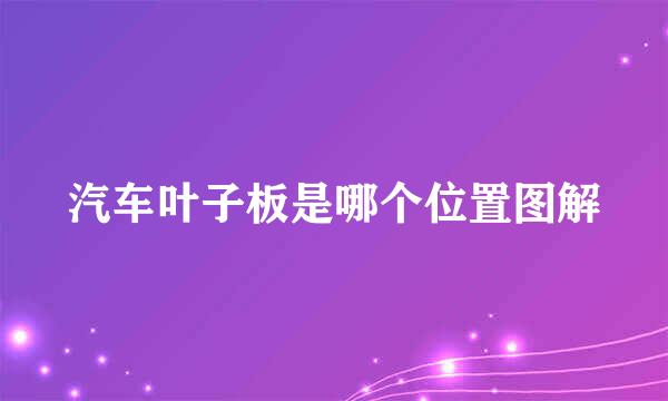 汽车叶子板是哪个位置图解