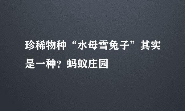 珍稀物种“水母雪兔子”其实是一种?蚂蚁庄园