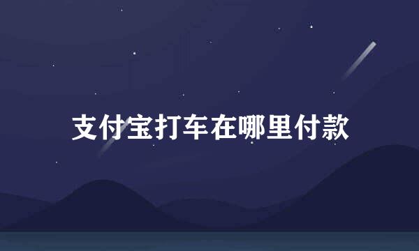 支付宝打车在哪里付款