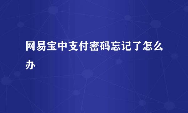 网易宝中支付密码忘记了怎么办