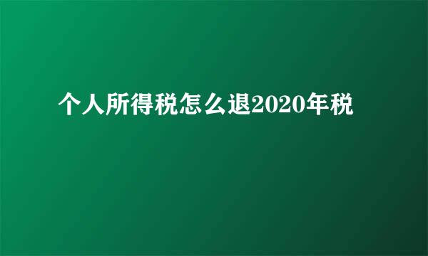 个人所得税怎么退2020年税