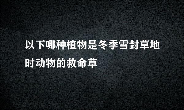 以下哪种植物是冬季雪封草地时动物的救命草