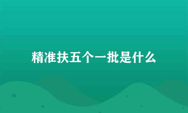 精准扶五个一批是什么