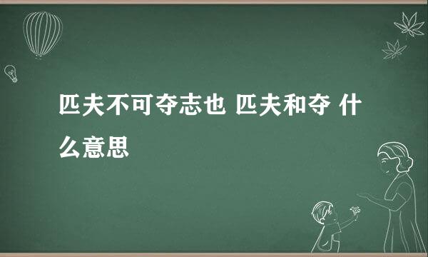 匹夫不可夺志也 匹夫和夺 什么意思