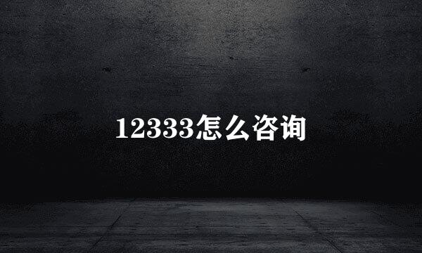 12333怎么咨询