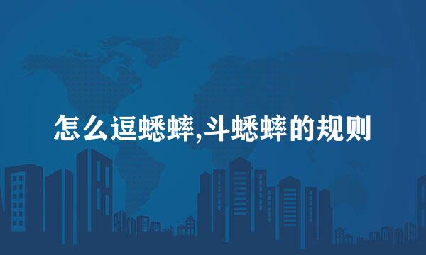 怎么逗蟋蟀,斗蟋蟀的规则