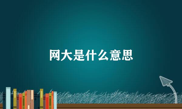 网大是什么意思