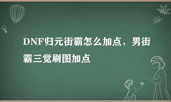 DNF归元街霸怎么加点，男街霸三觉刷图加点