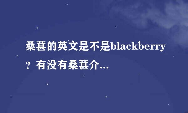 桑葚的英文是不是blackberry？有没有桑葚介绍？是不是就是黑莓