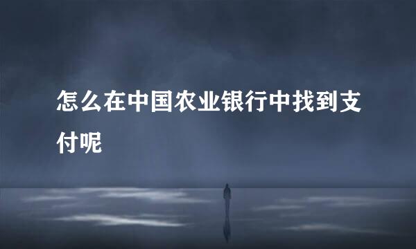怎么在中国农业银行中找到支付呢