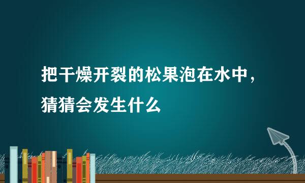 把干燥开裂的松果泡在水中，猜猜会发生什么
