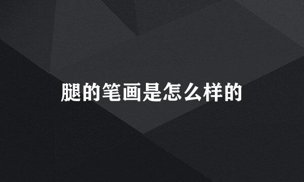 腿的笔画是怎么样的