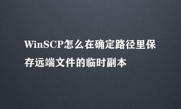 WinSCP怎么在确定路径里保存远端文件的临时副本